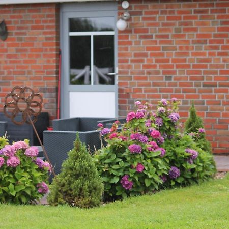 Balzwiekje Auszeit Auf Pferdehof In Ostfriesland Ihlow  Exterior foto